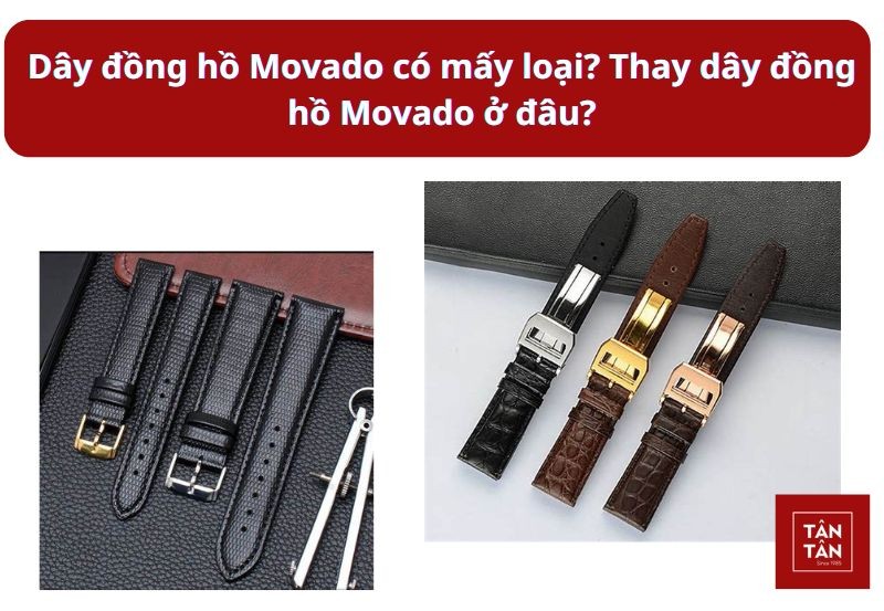 Dây đồng hồ Movado có mấy loại? Thay dây đồng hồ Movado ở đâu?