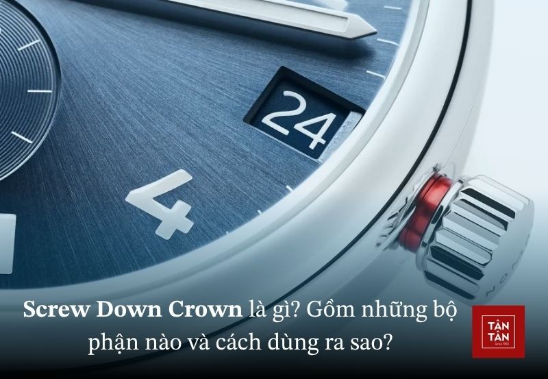 Screw Down Crown là gì? Lịch sử, bộ phận và cách sử dụng Screw Down Crown