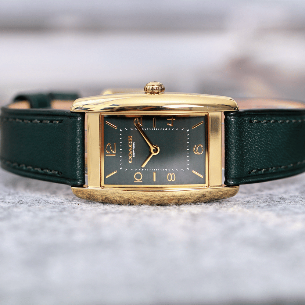 Đồng Hồ Nữ Coach Reese 14504354 24mm x 35mm
