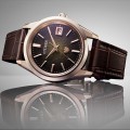 Đồng Hồ Nam Citizen The Citizen Iconic Nature Limited AQ4106-00W 38.3mm