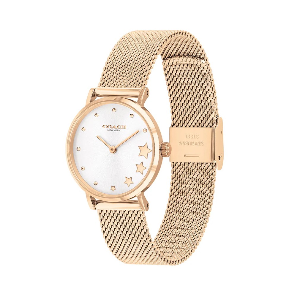 Đồng Hồ Nữ Coach Perry 14503520 28mm