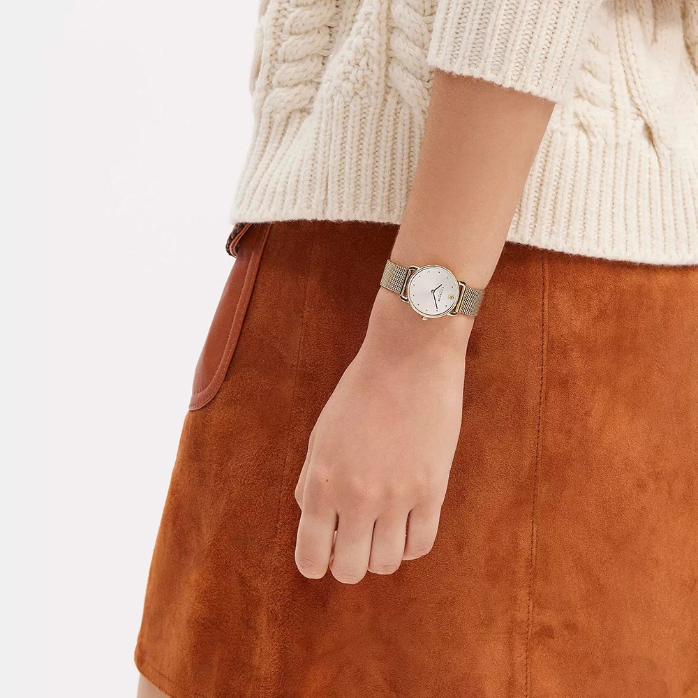Đồng Hồ Nữ Coach Elliot 14504223 28mm
