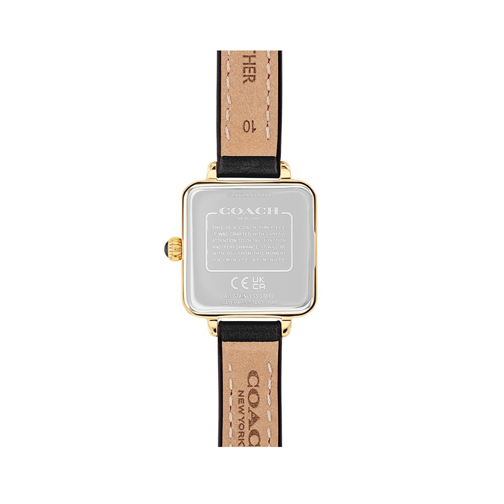 Đồng Hồ Nữ Coach Cass 14504225 22mm