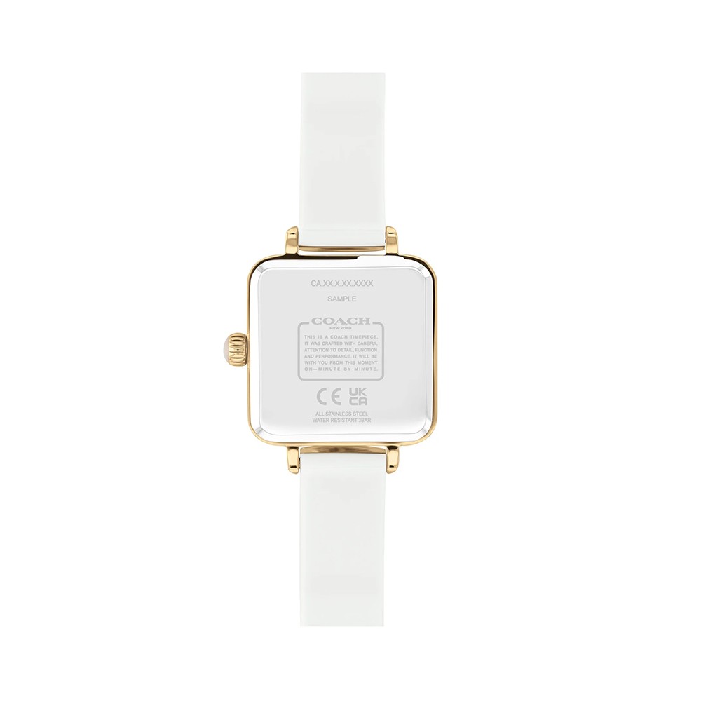 Đồng Hồ Nữ Coach Cass 14504308 22mm