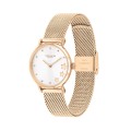 Đồng Hồ Nữ Coach Perry 14503520 28mm