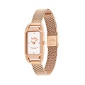 Đồng Hồ Nữ Coach Cadie 14504085 17.5mmx28.5mm