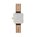 Đồng Hồ Nữ Coach Cass 14504225 22mm