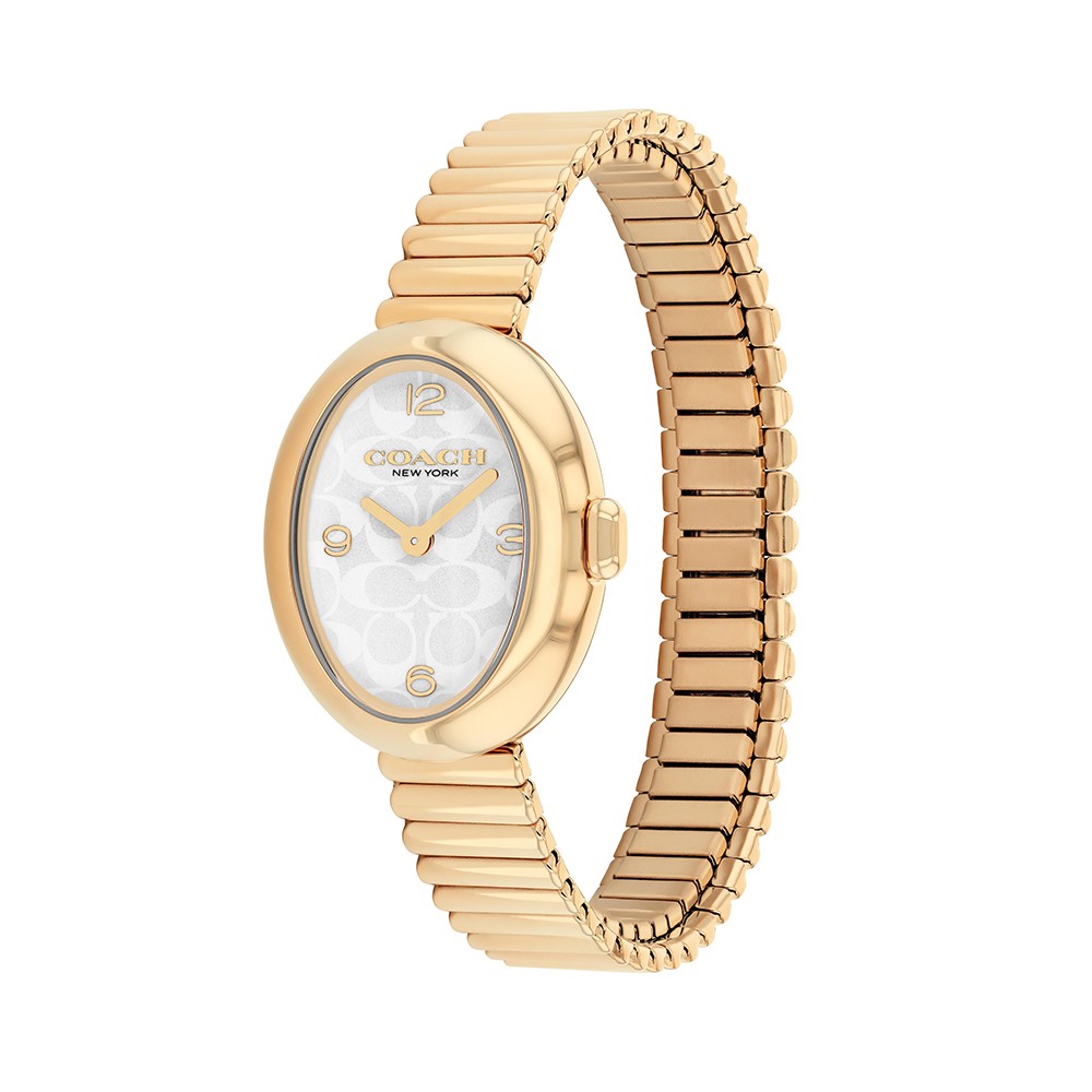 Đồng Hồ Nữ Coach Sammy 14504573 22.5mm