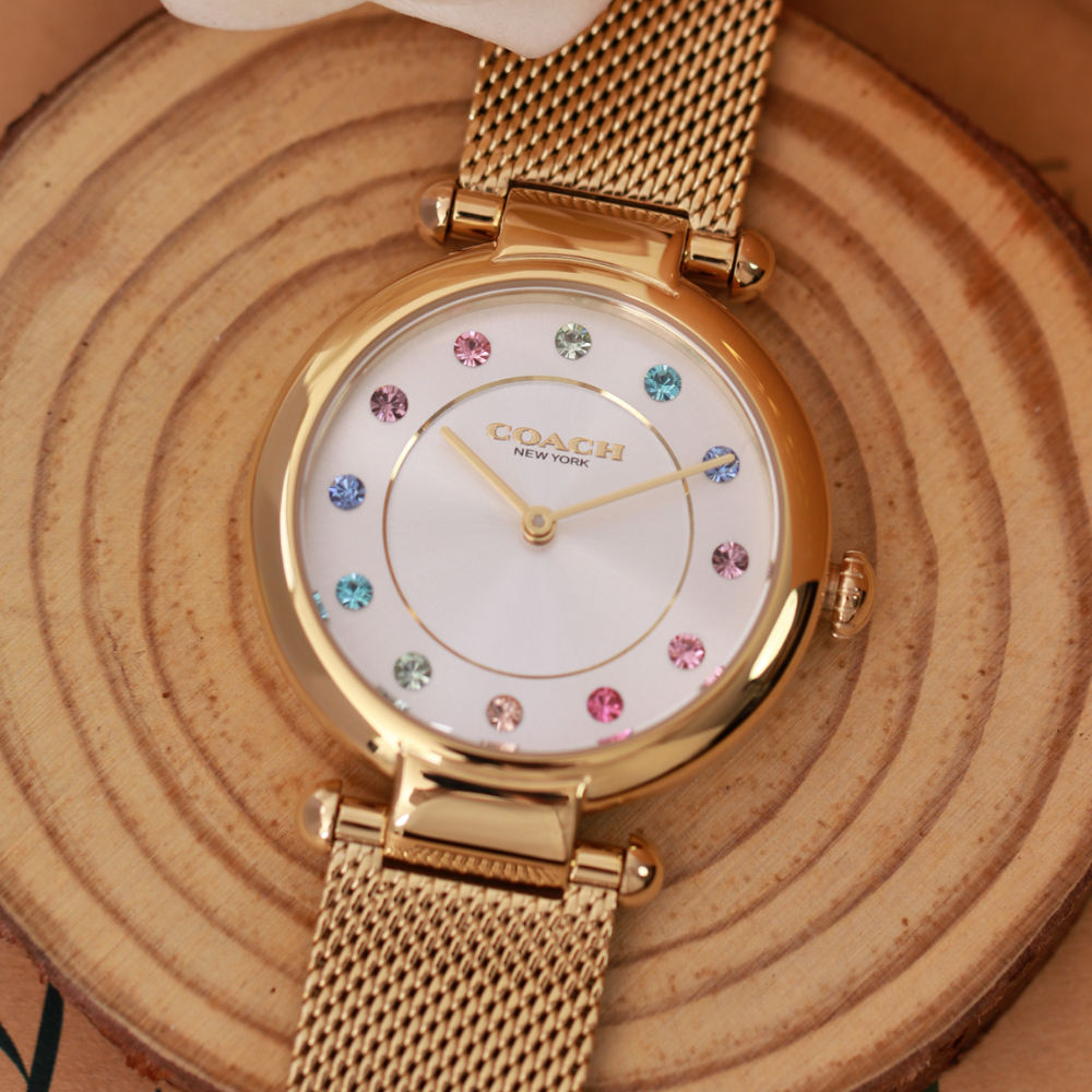 Đồng Hồ Nữ Coach Cary Giftset 14000112 34mm