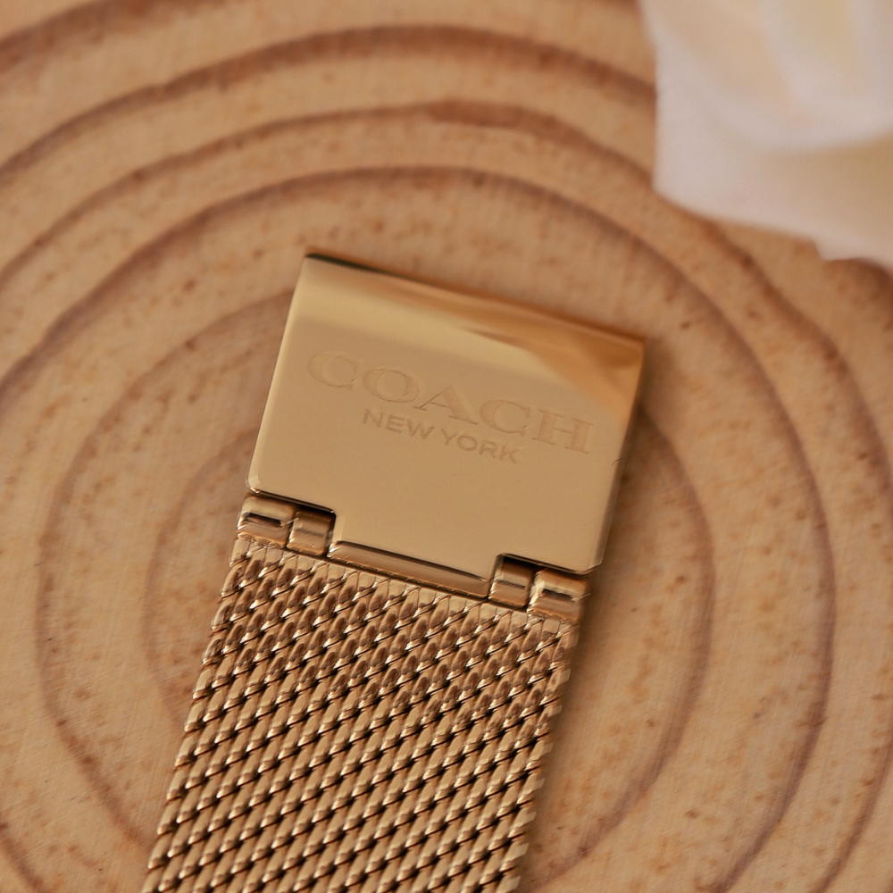 Đồng Hồ Nữ Coach Cary Giftset 14000112 34mm