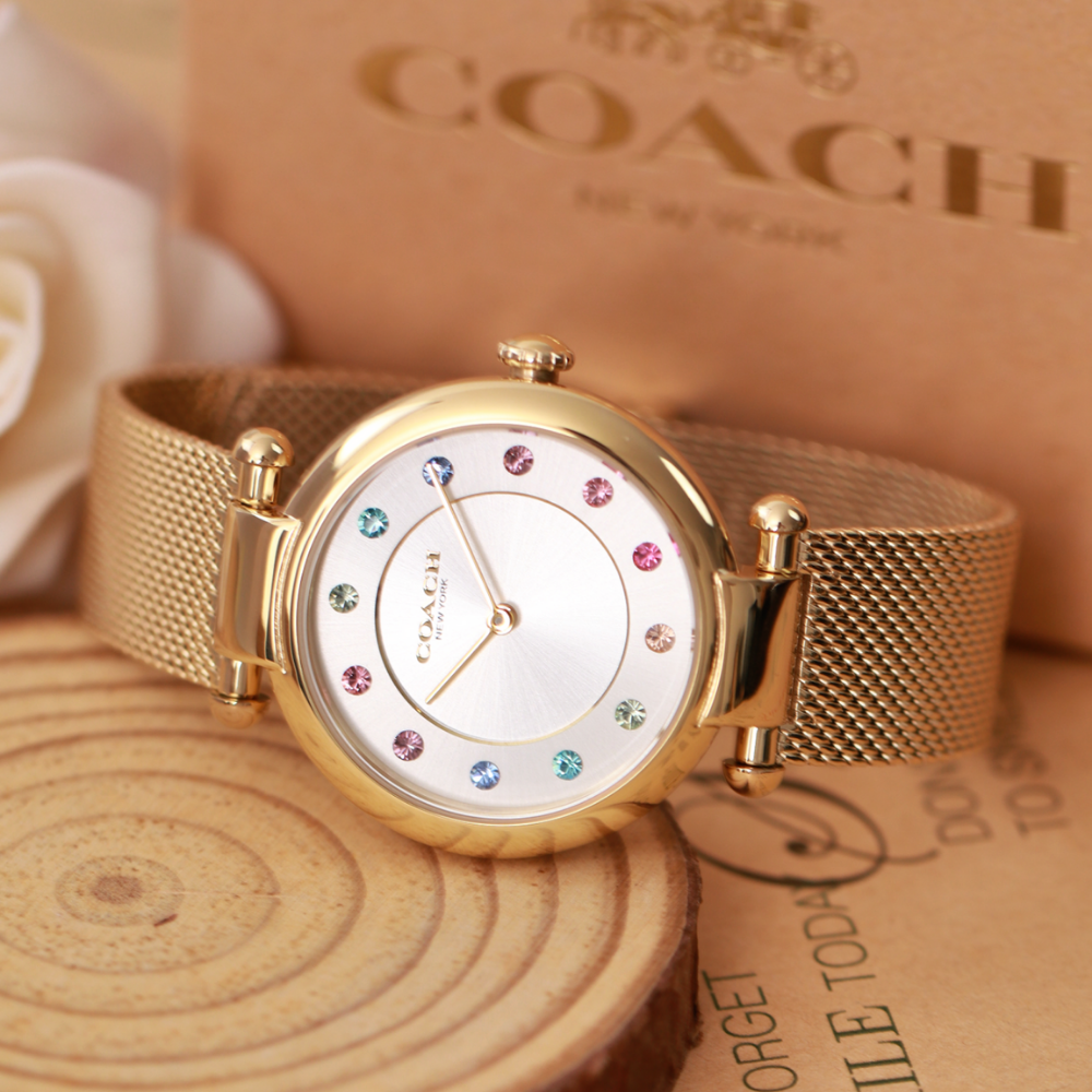 Đồng Hồ Nữ Coach Cary Giftset 14000112 34mm