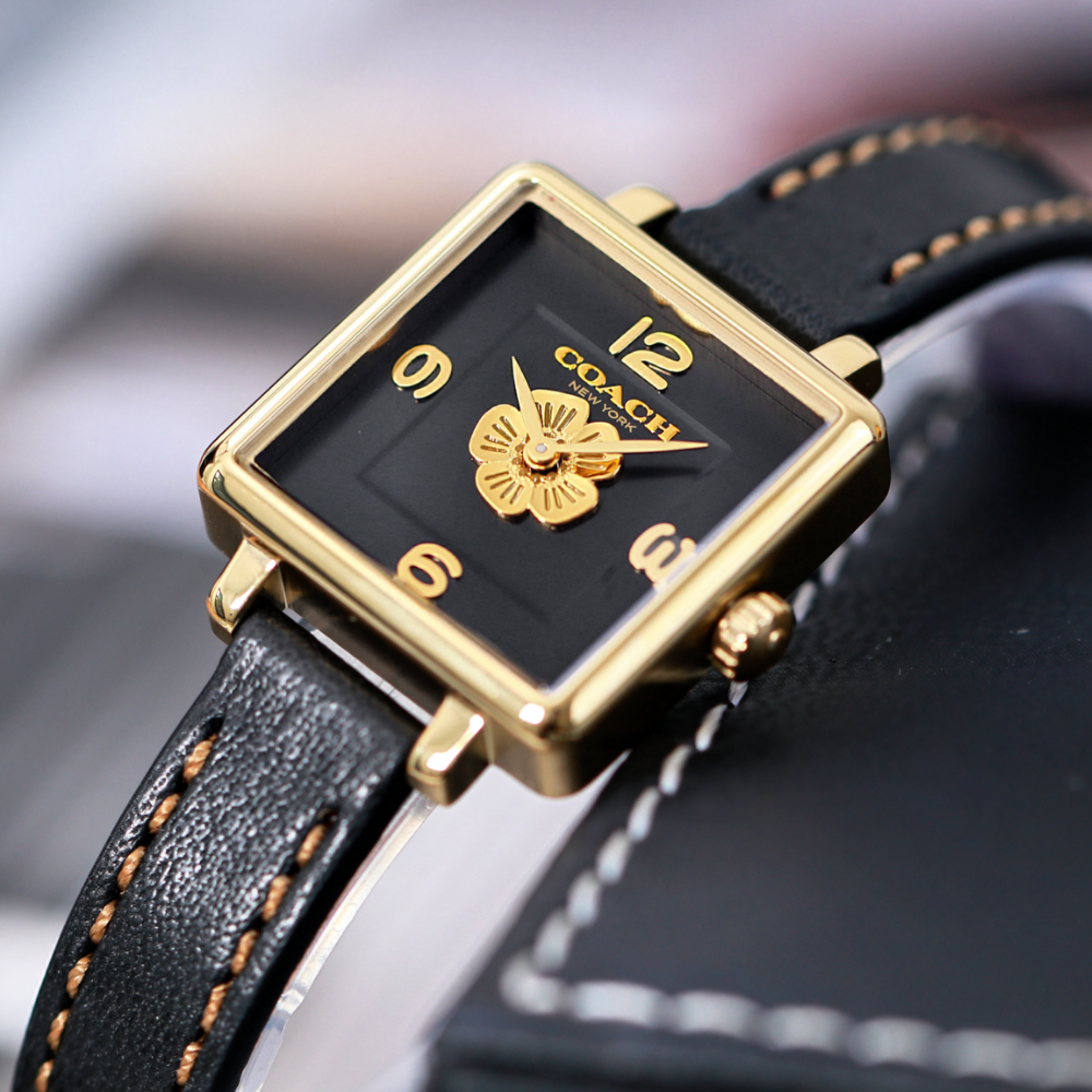 Đồng Hồ Nữ Coach Cass 14503695 22mm