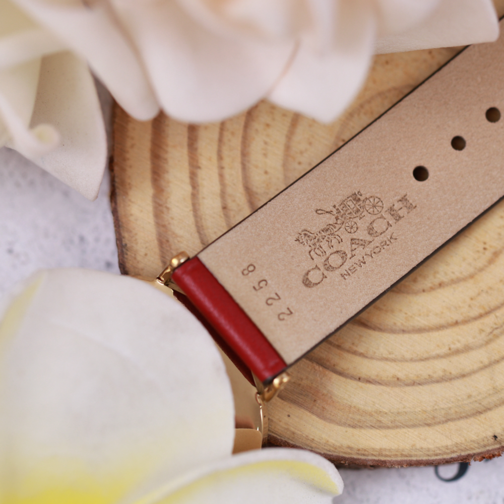 Đồng Hồ Nữ Coach Perry 14503867 36mm