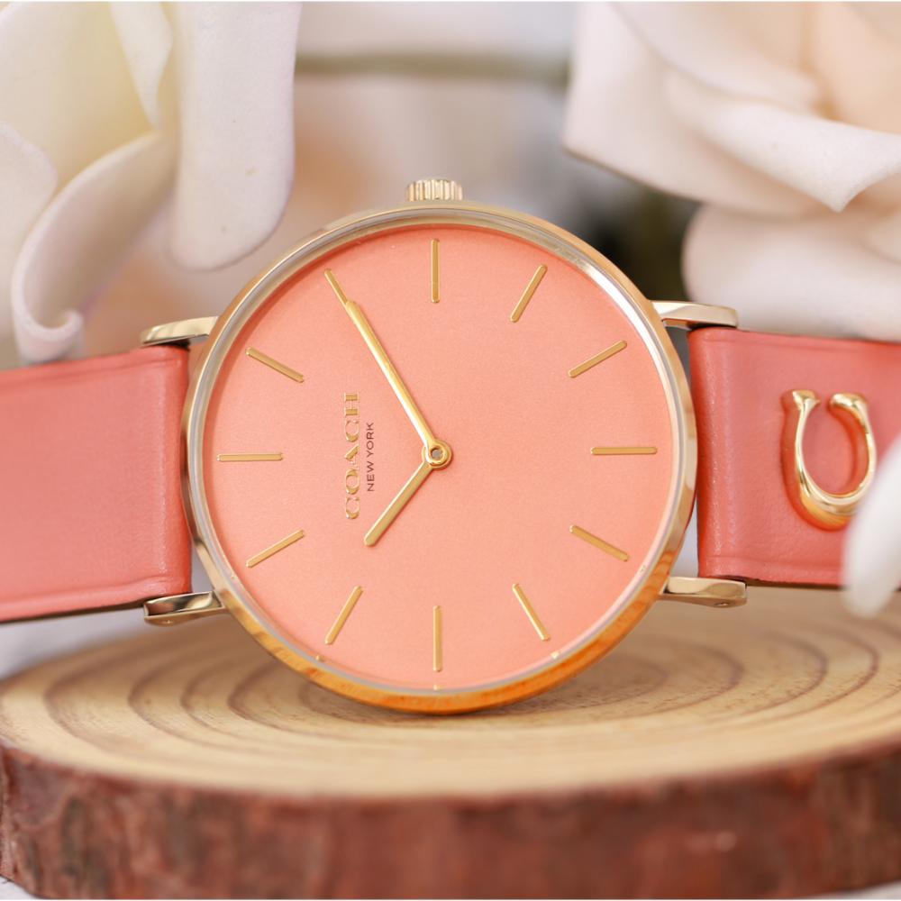 Đồng Hồ Nữ Coach Perry 14503922 36mm