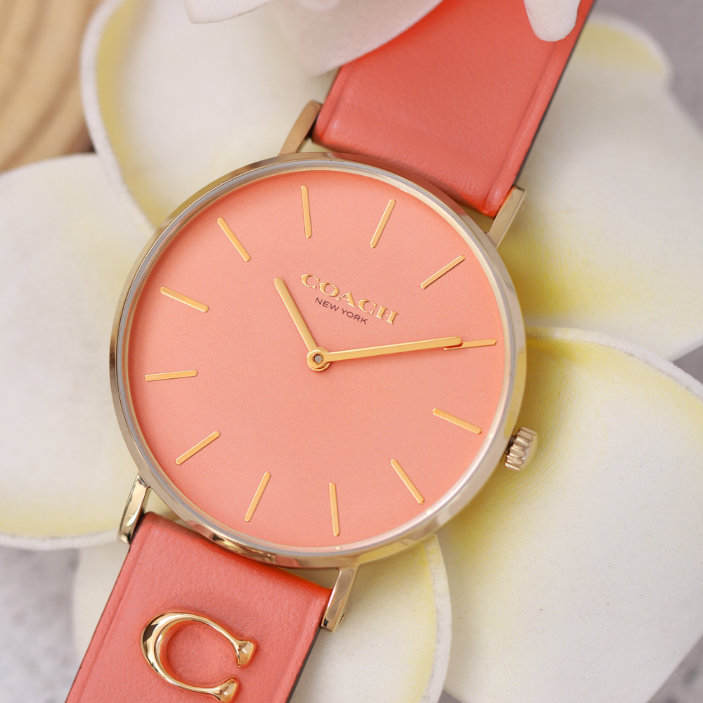 Đồng Hồ Nữ Coach Perry 14503922 36mm