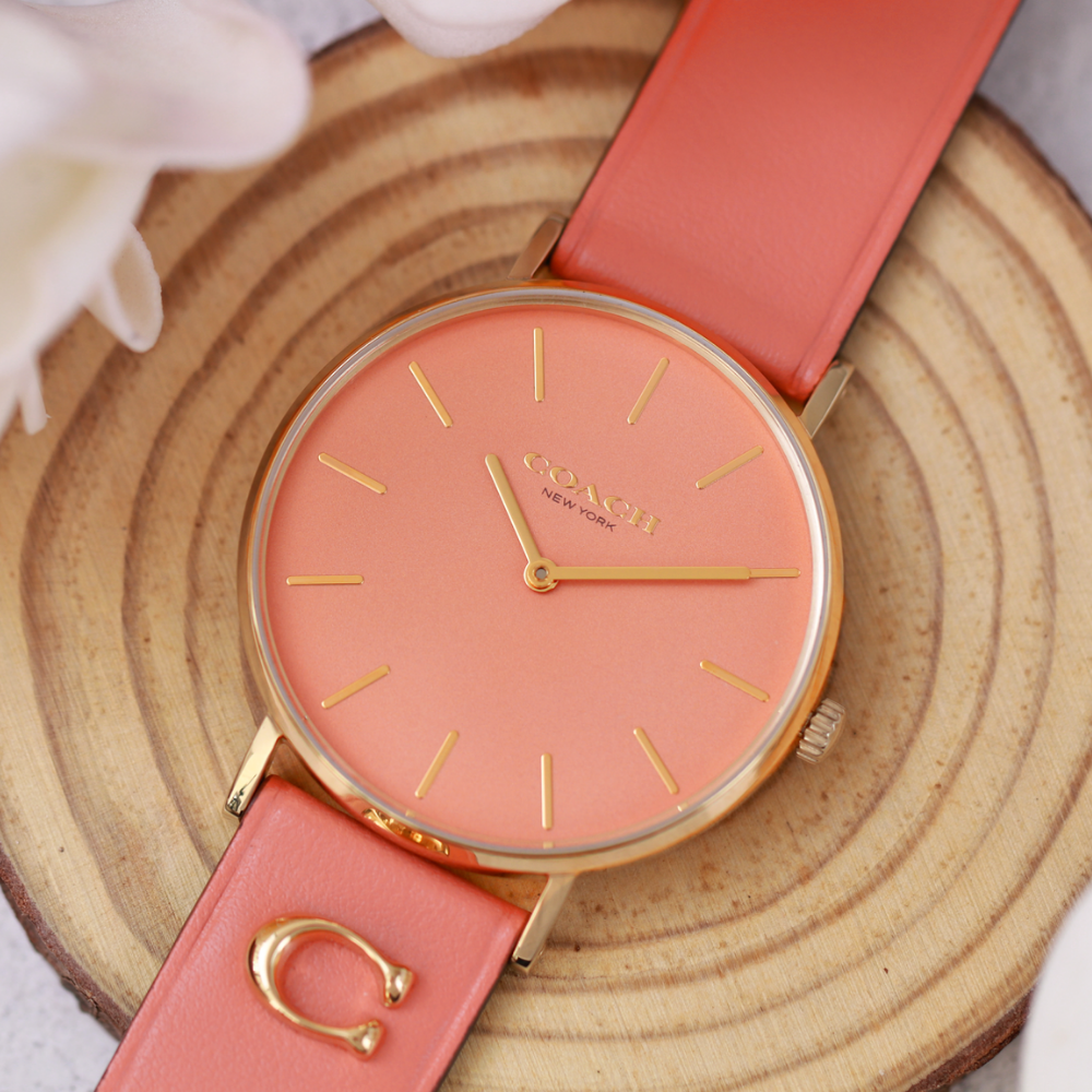 Đồng Hồ Nữ Coach Perry 14503922 36mm