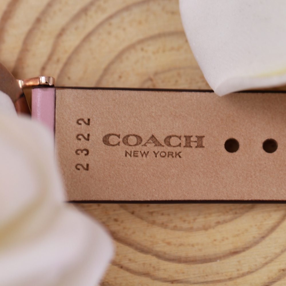 Đồng Hồ Nữ Coach Perry 14503976 36mm