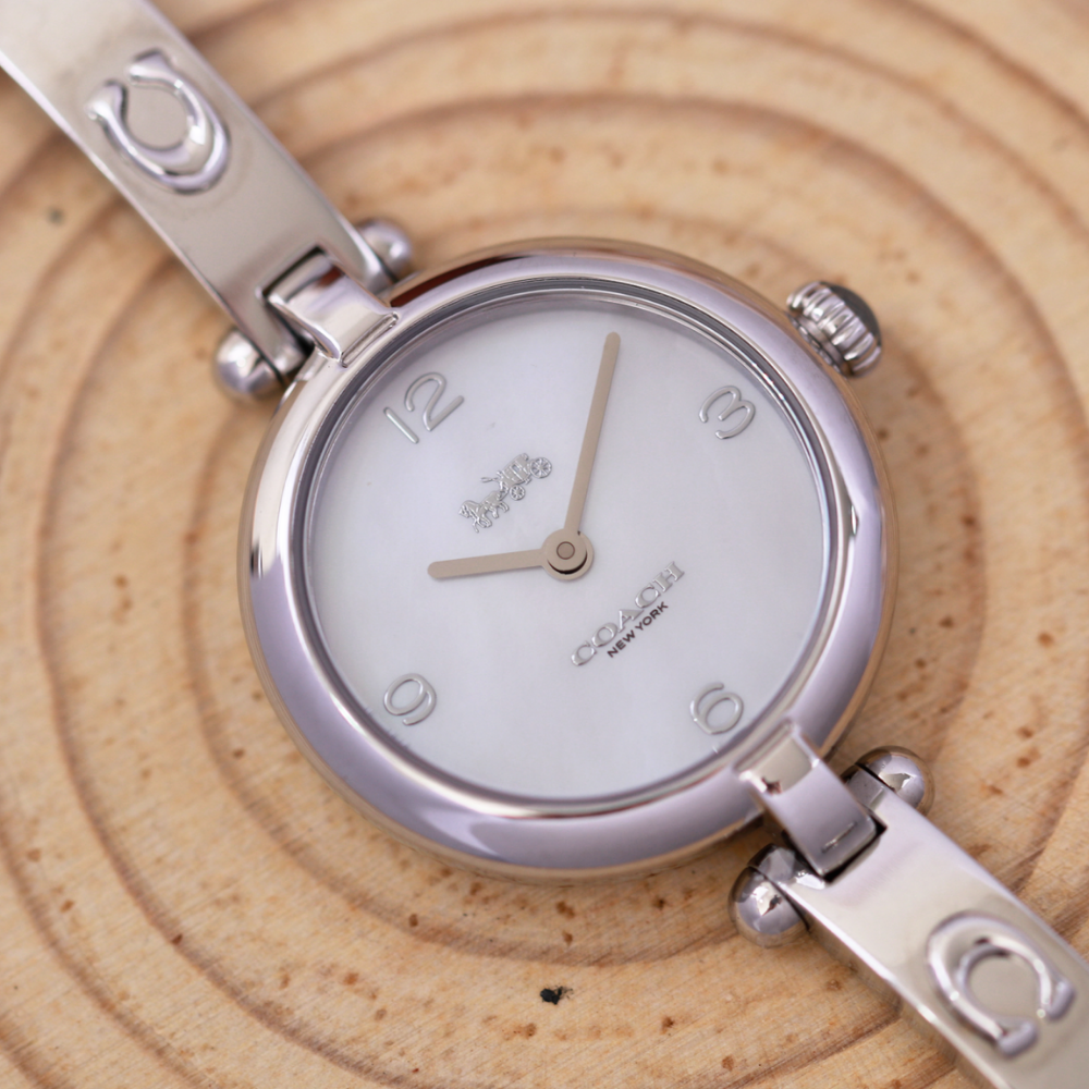 Đồng Hồ Nữ Coach Cary14504005 26mm