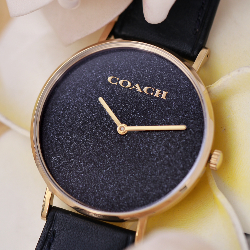 Đồng Hồ Nữ Coach Perry 14504078 36mm