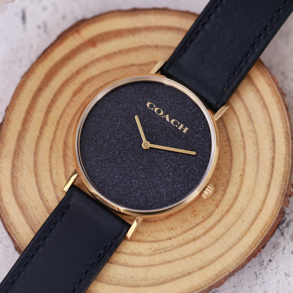 Đồng Hồ Nữ Coach Perry 14504078 36mm