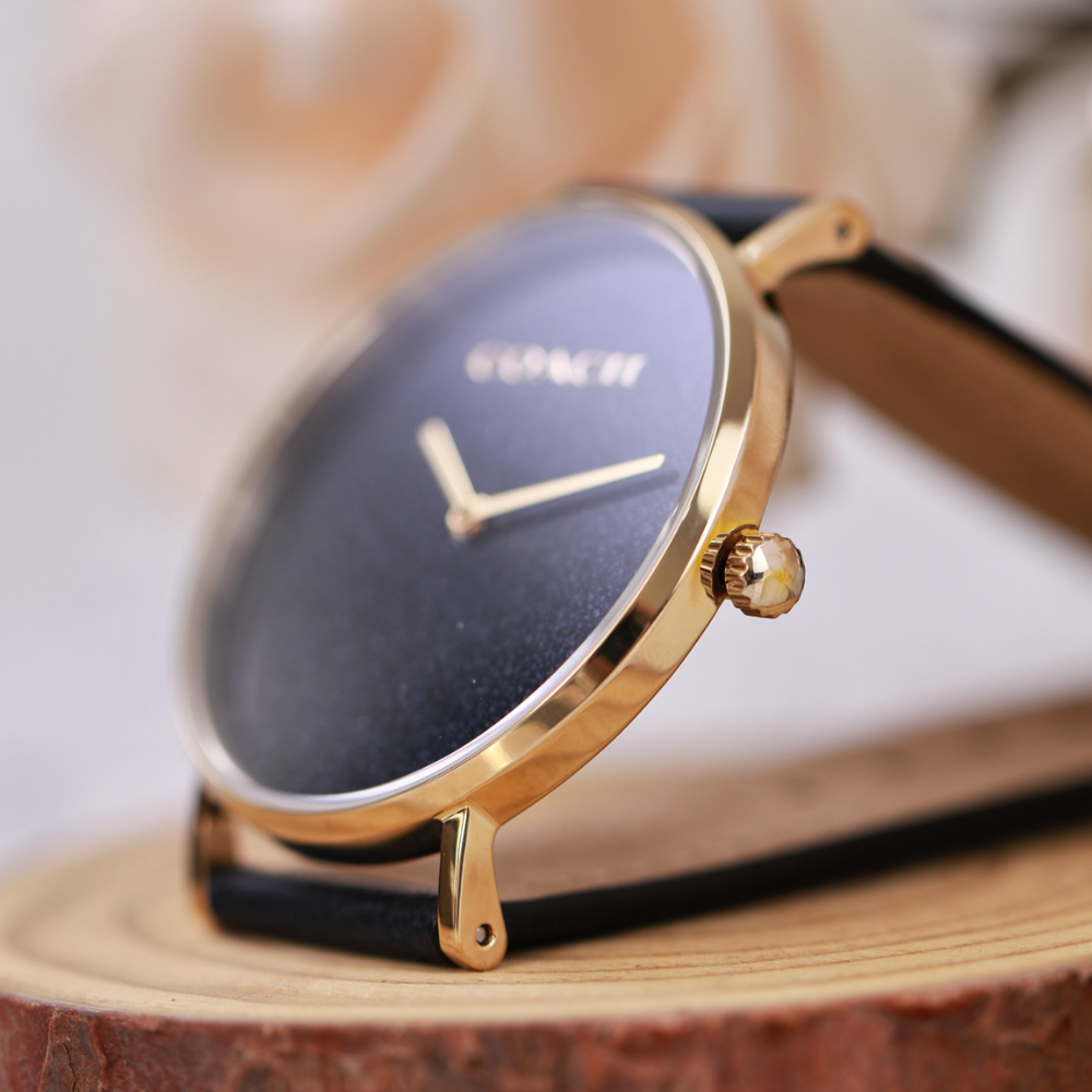 Đồng Hồ Nữ Coach Perry 14504078 36mm