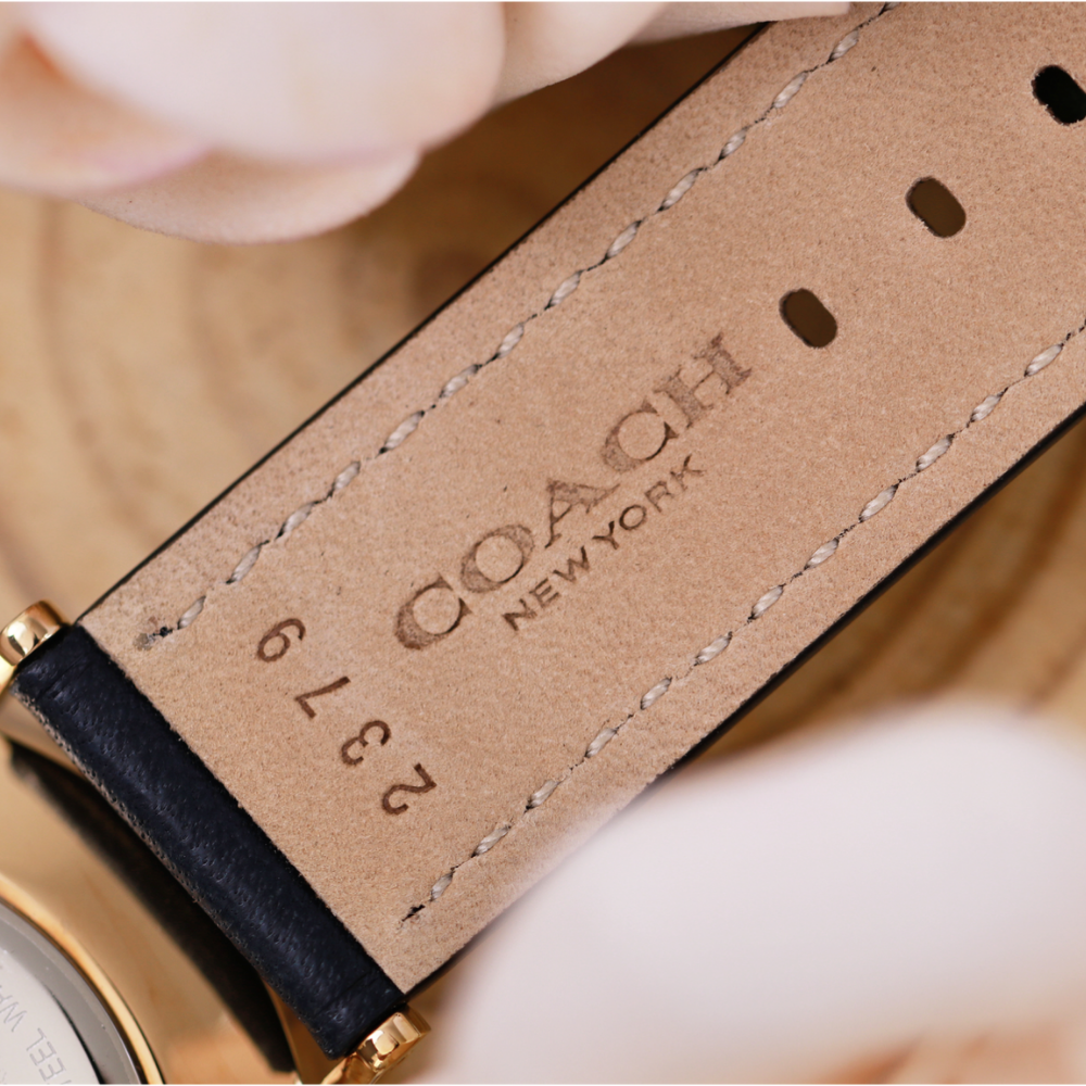 Đồng Hồ Nữ Coach Perry 14504078 36mm