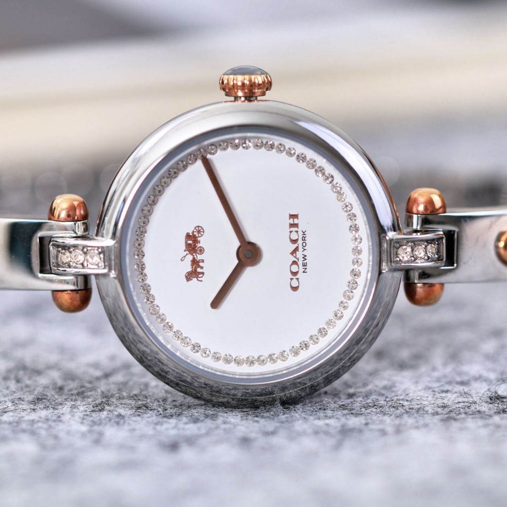 Đồng Hồ Nữ Coach Cary 14504084 26mm