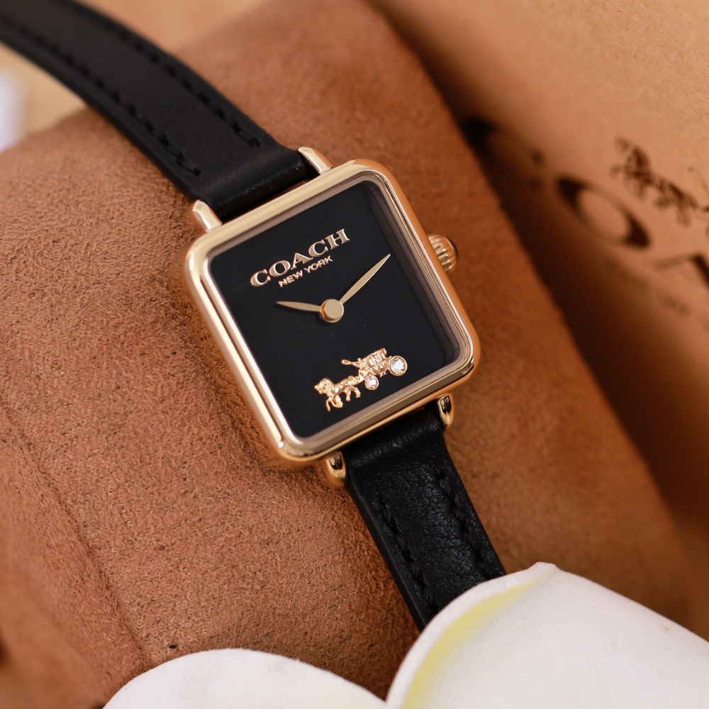 Đồng Hồ Nữ Coach Cass 14504225 22mm