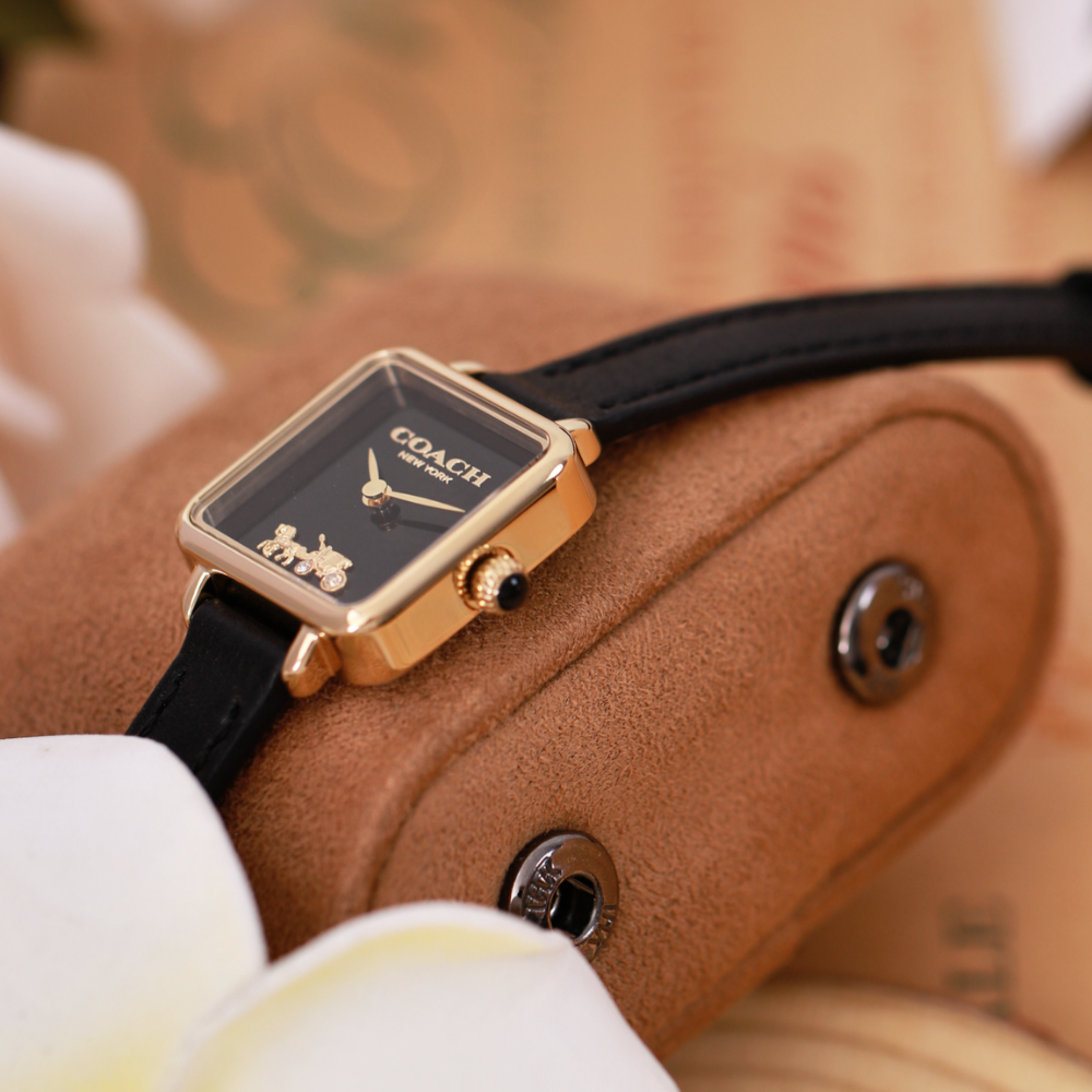 Đồng Hồ Nữ Coach Cass 14504225 22mm