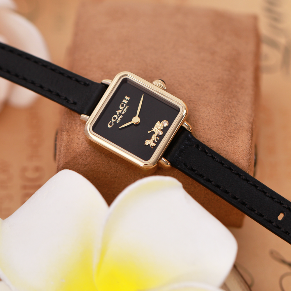 Đồng Hồ Nữ Coach Cass 14504225 22mm