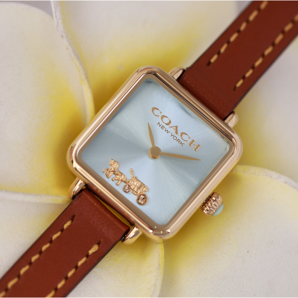 Đồng Hồ Nữ Coach Cass 14504231 22mm