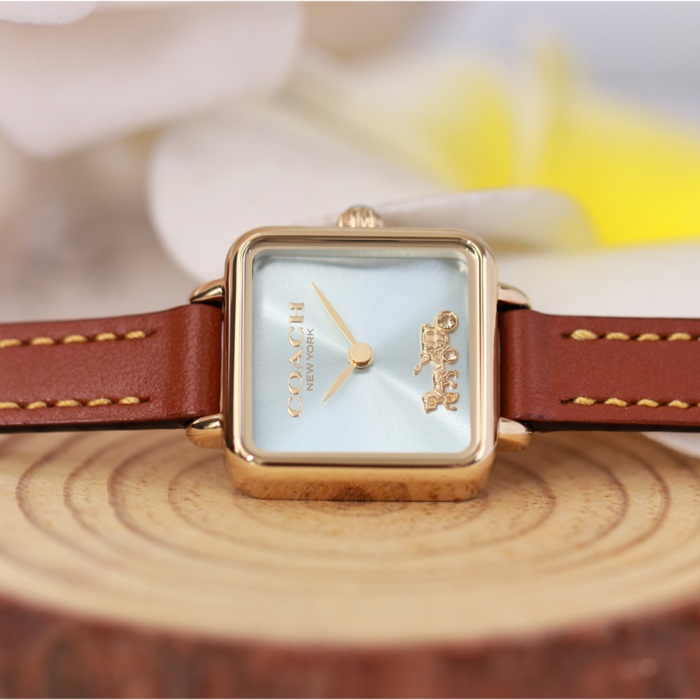 Đồng Hồ Nữ Coach Cass 14504231 22mm