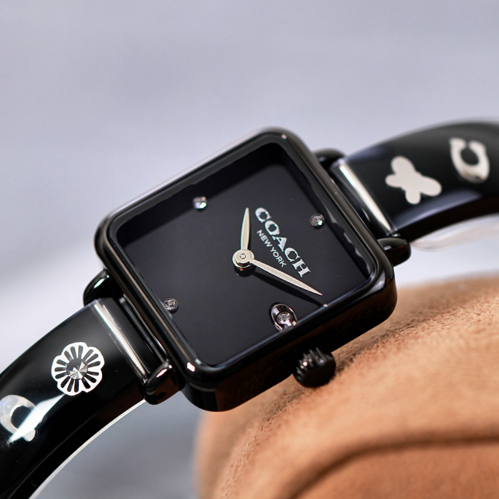 Đồng Hồ Nữ Coach Cass 14504307 22mm