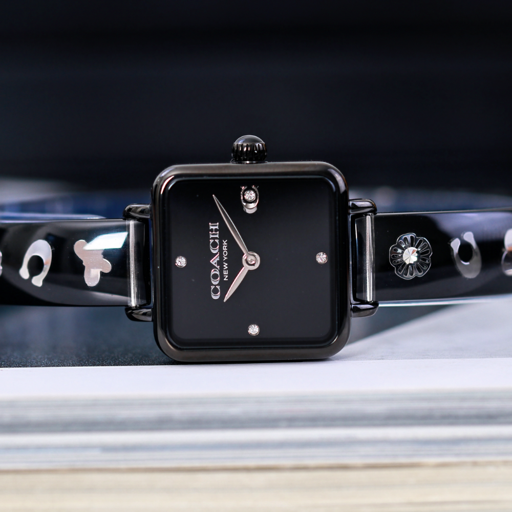 Đồng Hồ Nữ Coach Cass 14504307 22mm