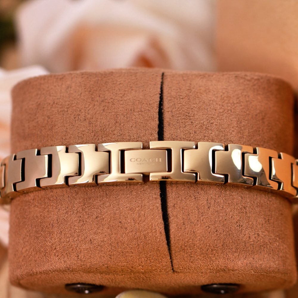 Đồng Hồ Nữ Coach Cass 14504308 22mm