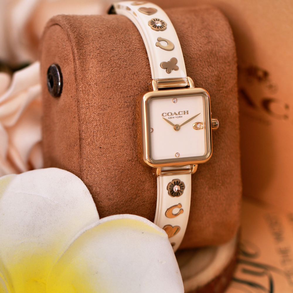 Đồng Hồ Nữ Coach Cass 14504308 22mm