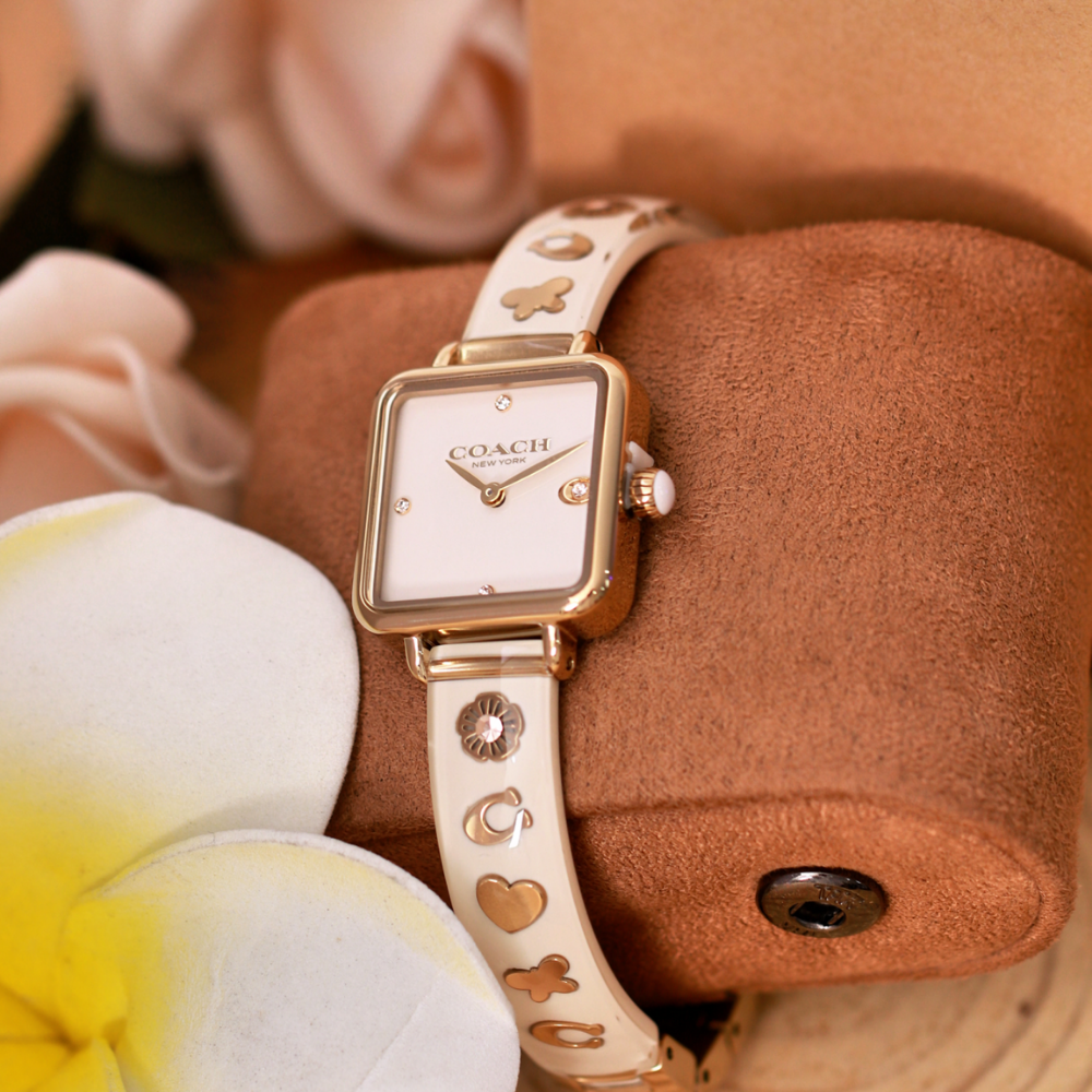 Đồng Hồ Nữ Coach Cass 14504308 22mm