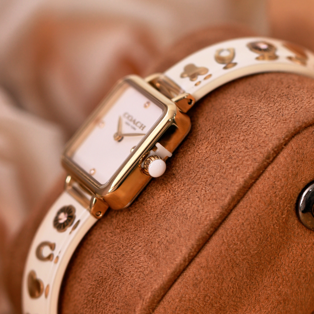 Đồng Hồ Nữ Coach Cass 14504308 22mm