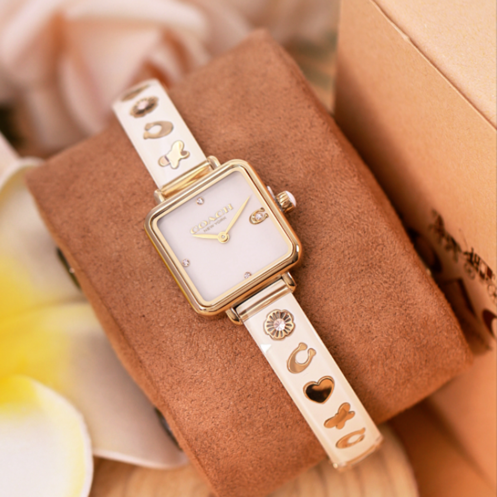 Đồng Hồ Nữ Coach Cass 14504308 22mm