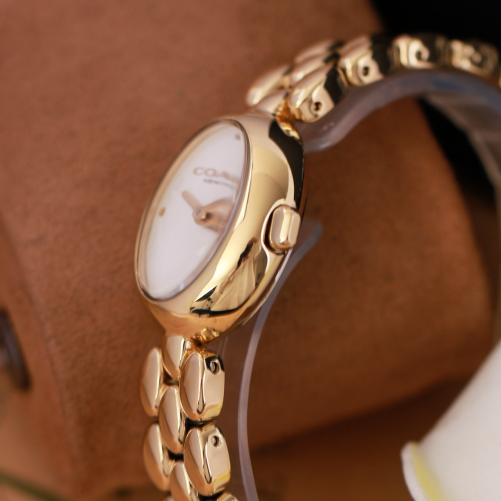 Đồng Hồ Nữ Coach Sammy 14504417 22.5mm