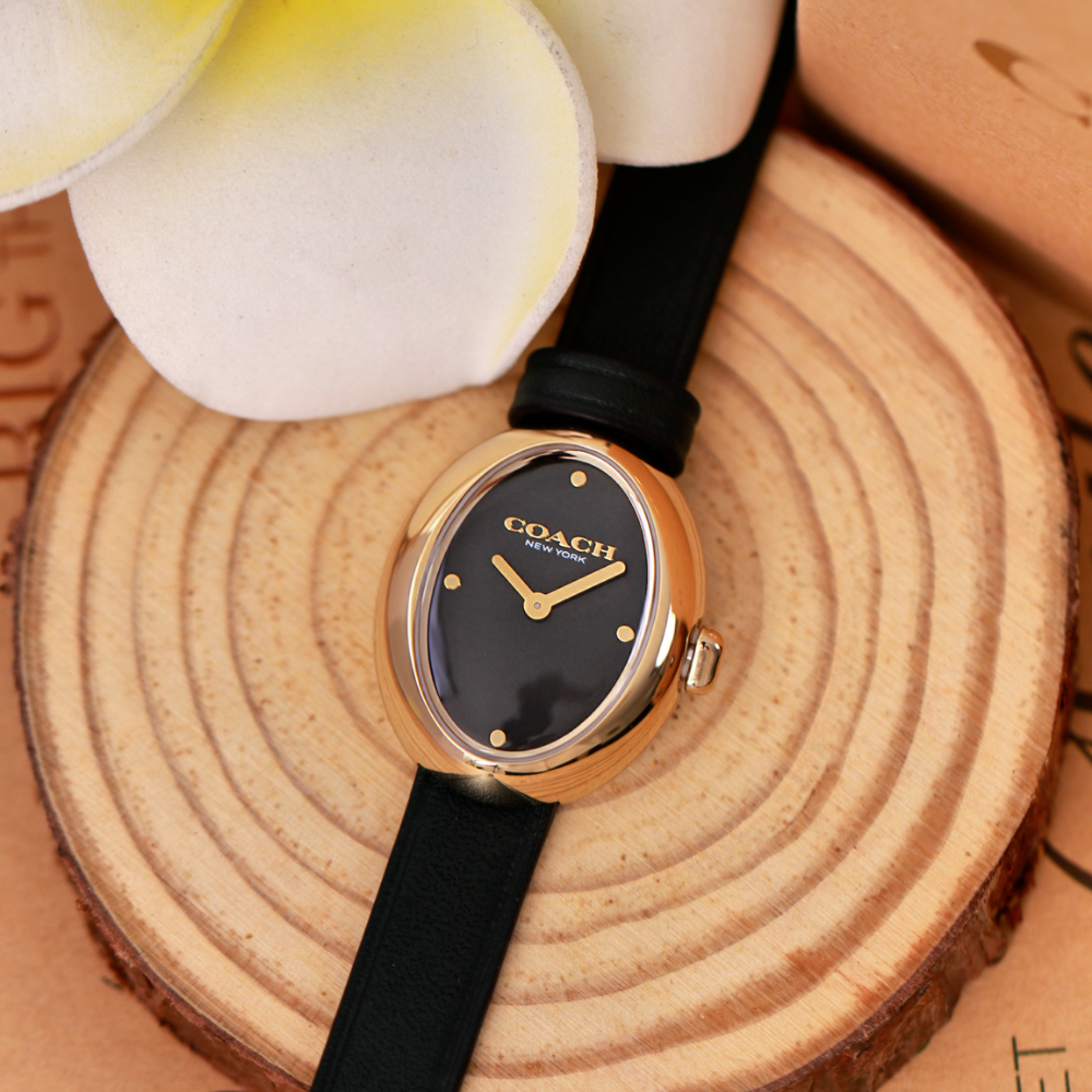 Đồng Hồ Nữ Coach Sammy 14504425 22.5mm