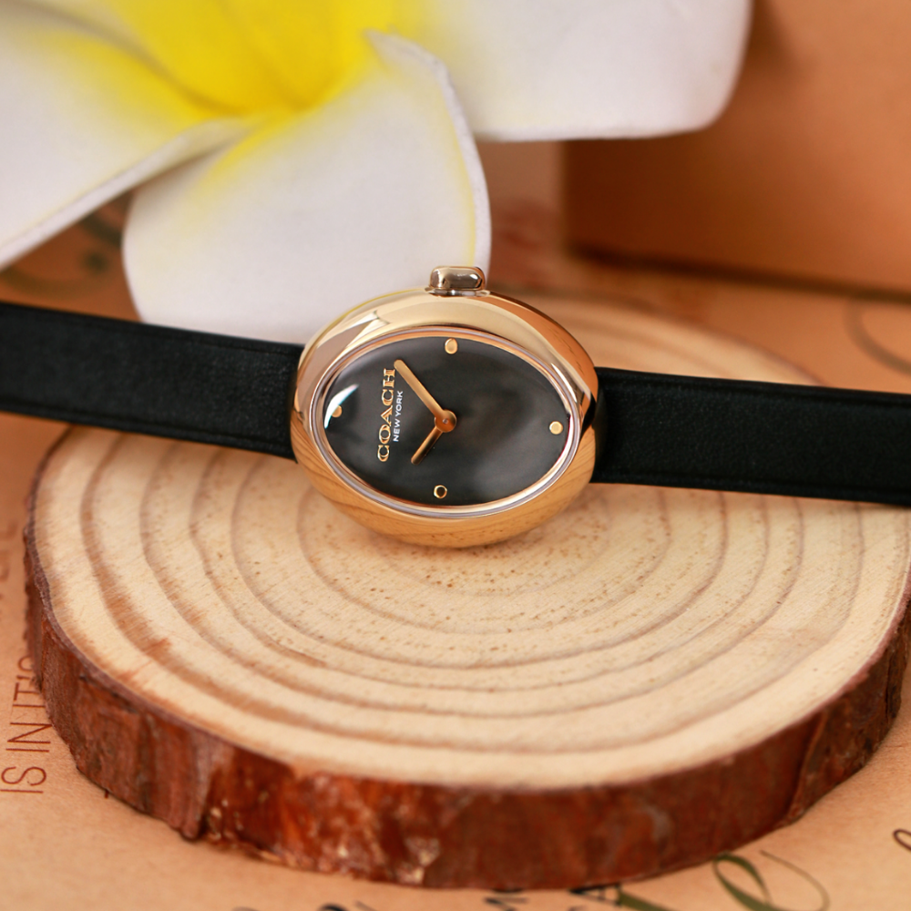 Đồng Hồ Nữ Coach Sammy 14504425 22.5mm