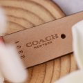 Đồng Hồ Nữ Coach Perry 14503922 36mm
