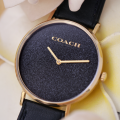 Đồng Hồ Nữ Coach Perry 14504078 36mm