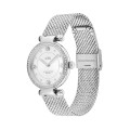Đồng Hồ Nữ Coach Cary 14503995 34mm