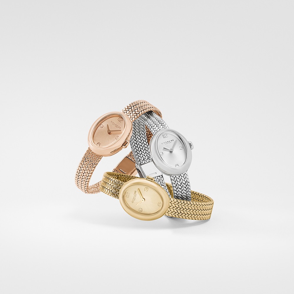 Đồng Hồ Nữ Coach Sammy 14504567 22.5mm