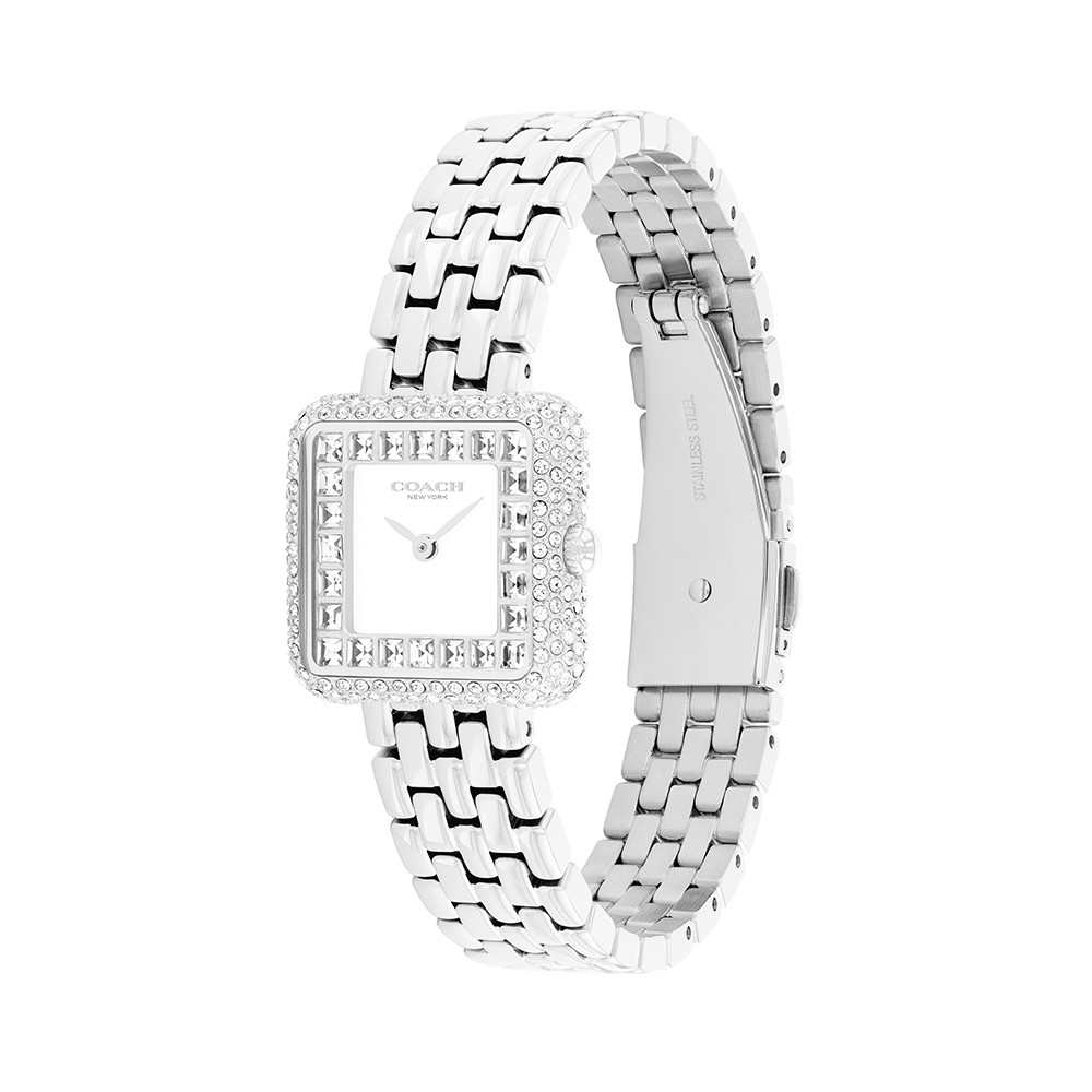 Đồng Hồ Nữ Coach Cass 14504558 24mm