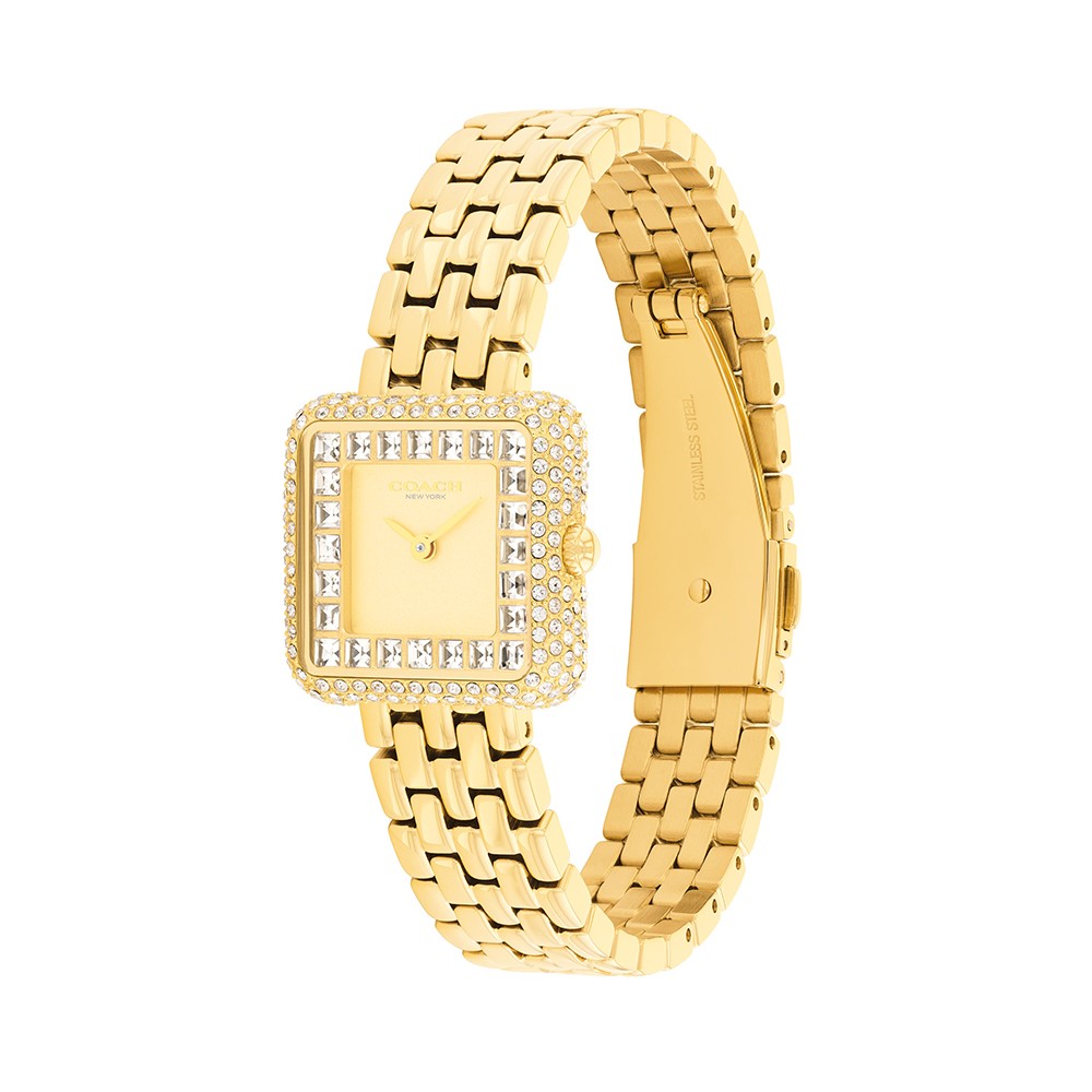 Đồng Hồ Nữ Coach Cass 14504559 24mm