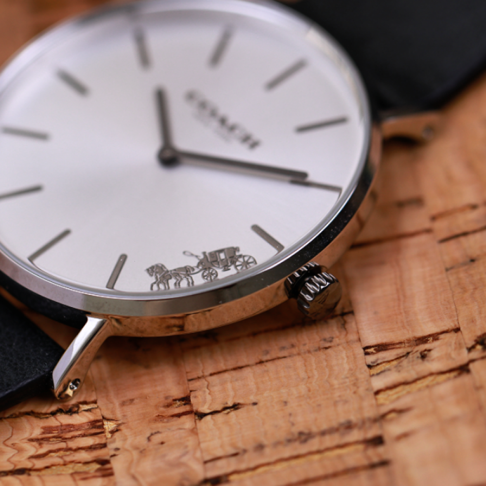 Đồng Hồ Nữ Coach Perry 14503115 36mm