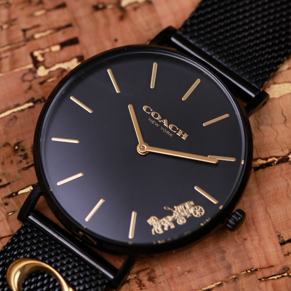 Đồng Hồ Nữ Coach Perry 14503339 36mm